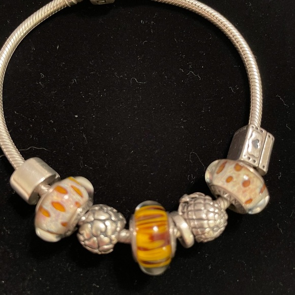 💕Pandora Retired Murano glass Charms, and bracelet